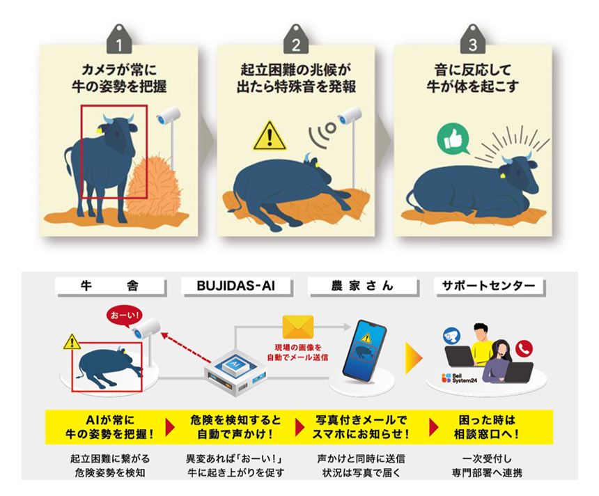 岡喜牧場、AIカメラで牛の起立困難を予防　24時間監視で事故防止と負担軽減